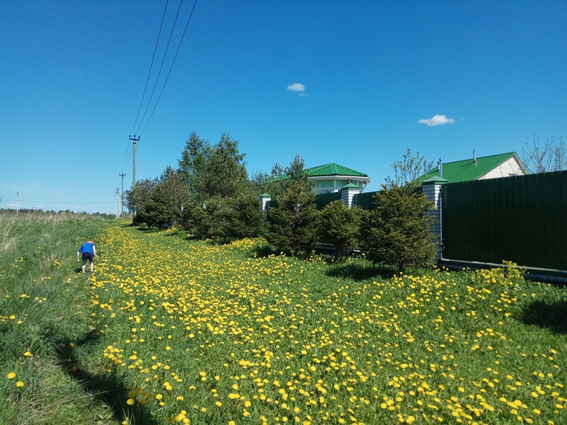 Ольга Баширова | Санкт-Петербург