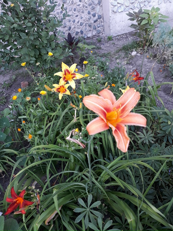 Ирина Клюева | Тюмень