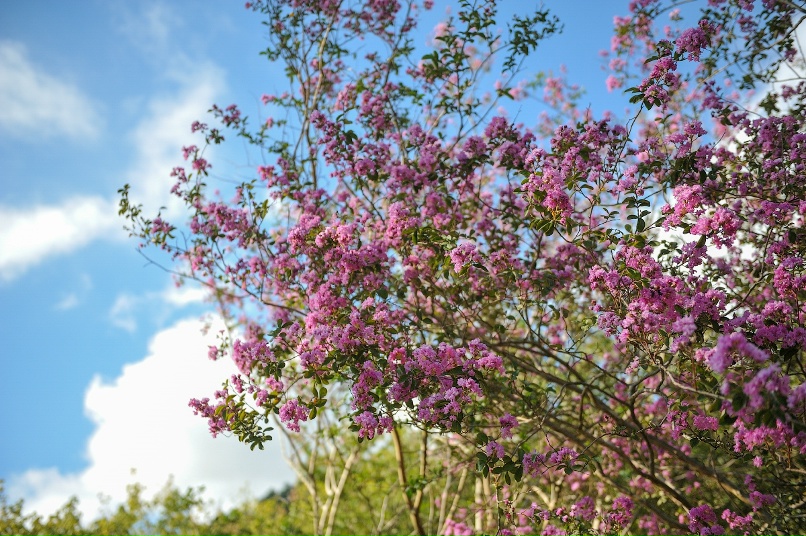 Иван Бизин | Углич