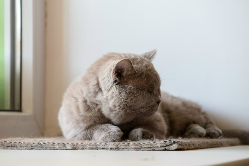 Кристина Никонова | Уфа