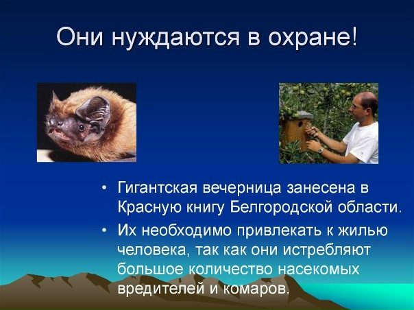 Занесенные в красную книгу белгородской области