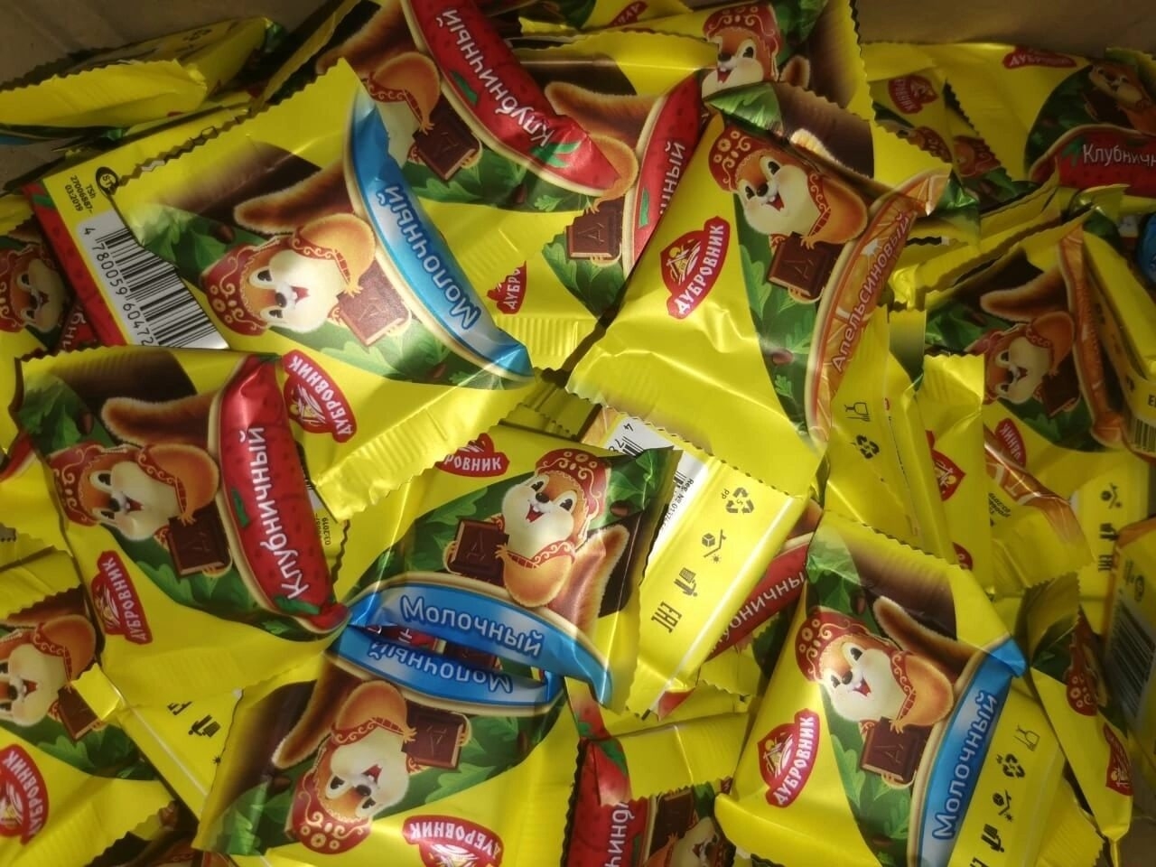 WrcHK1ZX4WI.jpg?size=1280x960&quality=95