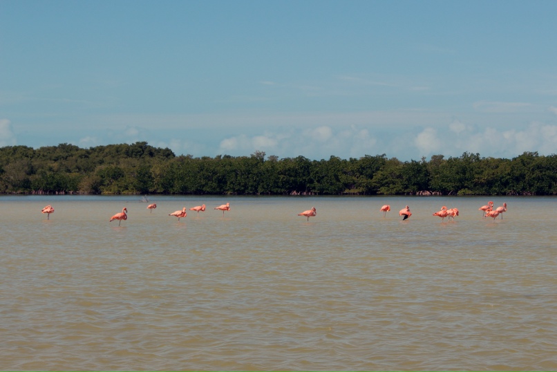 Кирилл Носов | Санкт-Петербург