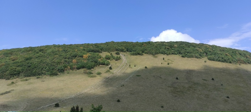 Алексей Кологривый | Борисоглебск