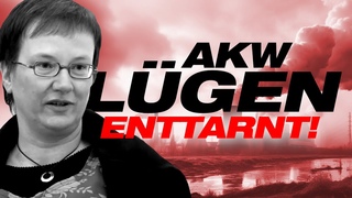 AKW Expertin ZERPFLCKT Grune Strom LGE