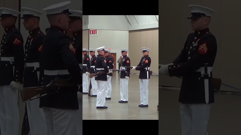 SE LE CAE EL ARMA , silent, honor, navy , guard, army, military, silent, honor, navy,