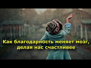 Как благодарность меняет мозг, делая нас счастливее (объясняют нейробиологи)