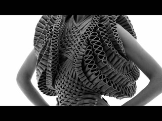 IRIS VAN HERPEN 2011 2012