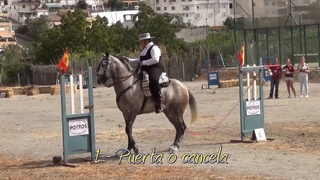 Concurso de Doma de Campo para Aficionados - 10 obstculos - Cenes de la Vega