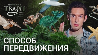 Ковер-самолет, глотка для ходьбы, 800 км за день. Как передвигаются удивительные твари