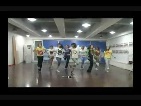 SNSD Tell Me Your Wish ( Dance Version
