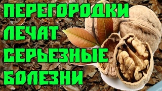 9 Серьёзных болезней Лечат перегородки Грецких орехов