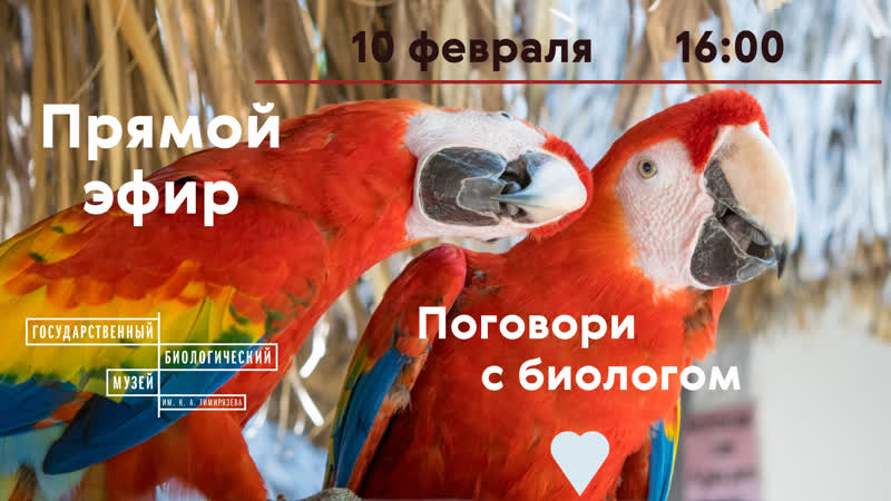 Поговори с