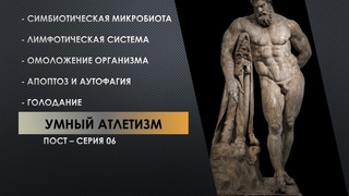 ЛИМФА И СИМБОИТИЧЕСКАЯ МИКРОБИОТА - КЛЮЧИ С ЖЕЛЕЗНОМУ ЗДОРОВЬЮ  \ АТЛЕТИЗМ И “ПОСТ“ - серия 6