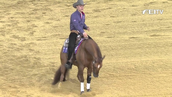 Alltech FEI WEG 2014 Josh