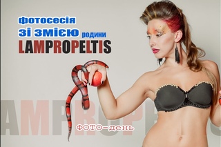 фотосесія зі змію родини Lampropeltis