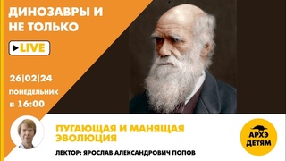 Занятие “Пугающая и манящая эволюция“ кружка “Динозавры и не только“ с Ярославом Поповым