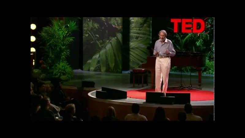 Geoffrey West: The surprising math of cities and