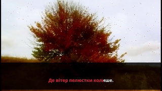 Марія Яремчук - Жовтий лист (субтитри)