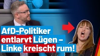 Die Linke hat die Interessen der Brger verraten! Sebastian Mnzenmaier - AfD-Fraktion im BT