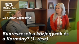 Bnrszesek a kzjegyzk s a Kormny (1. rsz)
