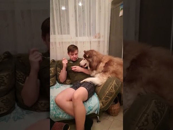 Хватит жрать, дай