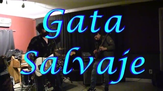 Bad Boys Dance Party - Lulu's Song/Gata Salvaje live