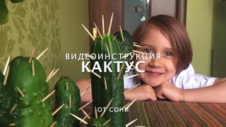 Огуречный КАКТУС от СОНИ. Мастерская Ольги Ёжиковой. Знакомьтесь, наша помощница Соня