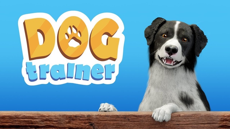 Dog Trainer Reveal