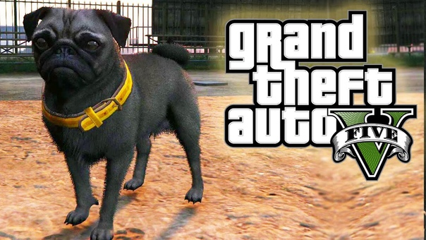 GTA 5 I Dont Pug With You