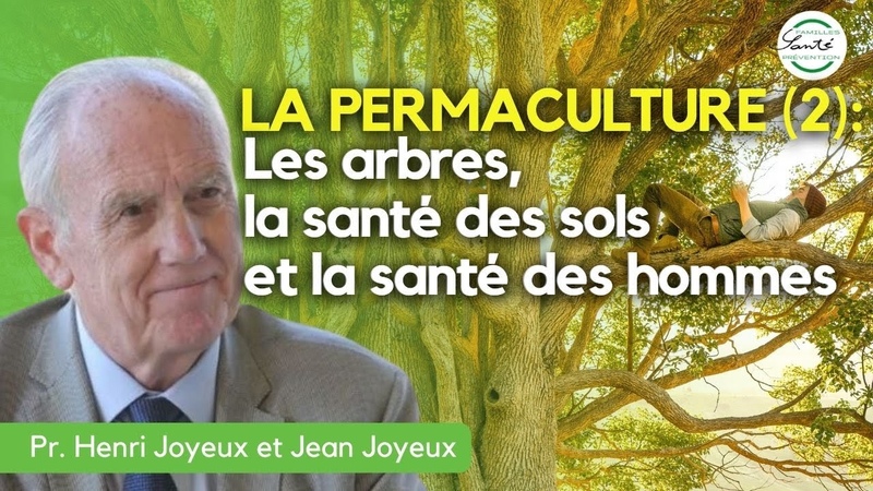 Permaculture (2, 3) : Les arbres, la santé des sols et la santé des hommes ,