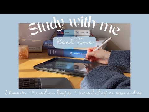 REAL TIME study with me 1 hour w, calm lofi music, no