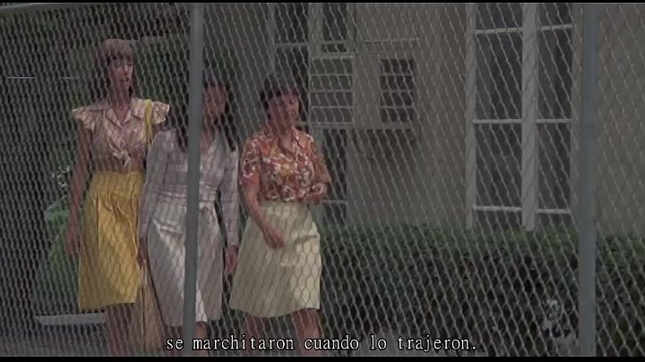 Tres mujeres 1977 VOSE Robert
