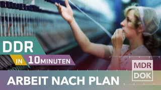 So war der Arbeitsalltag in der DDR | MDR DOK