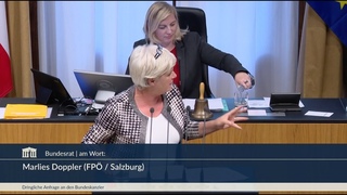 Marlies Doppler - Was haben die Grunen gegen Sie in der Hand, Herr Nehammer -