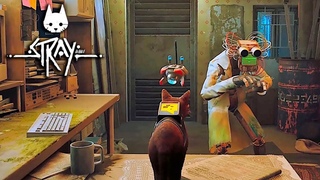 Я КОТИК У МЕНЯ ЛАПКИ   Stray #4                                                     #mrd_o_c #stray