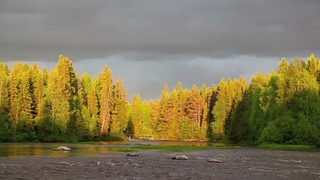 Maailma on kaunis  ~ Irwin Goodman (1989)