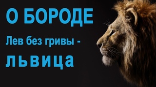 О бороде. Первый Апостольский собор отменил ли бороду.