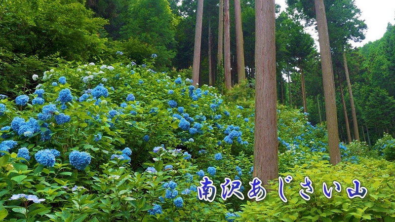 TOKYO Private Residence Minamisawa Ajisai Mountain created by Mr. Chuich Minamizawa. ,南沢あじさい山,