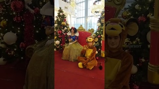 просто елки и игрушки. тц. новосибирск. зима