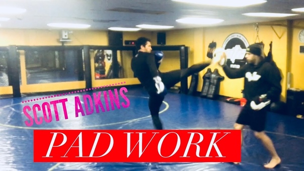 Scott Adkins Pad Work Dec