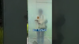 Прозрачный уличный туалет в Китае