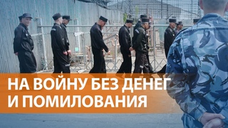 Завербованные заключенные пишут Путину: им не оформляют выплаты и не снимают судимость