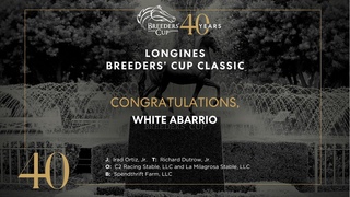 2023 Longines Breeders' Cup Classic - White Abarrio