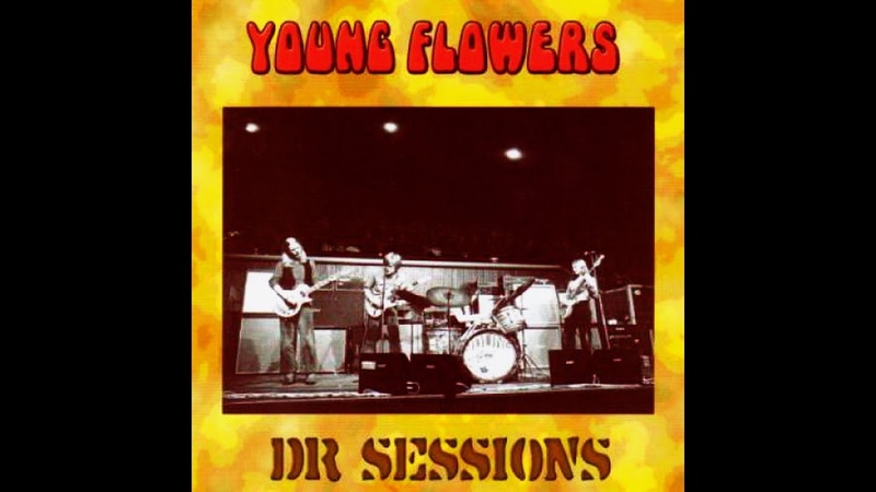 Young Flowers DR Sessions 1969 1970 Denmark, Psychedelic Progressive
