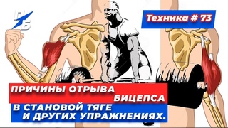 Причины отрыва бицепса в становой тяге и других упражнениях