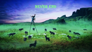 Never End