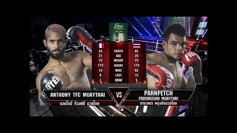 Энтони TFC Парнпетч Падунгчай, Muay Thai Fighter