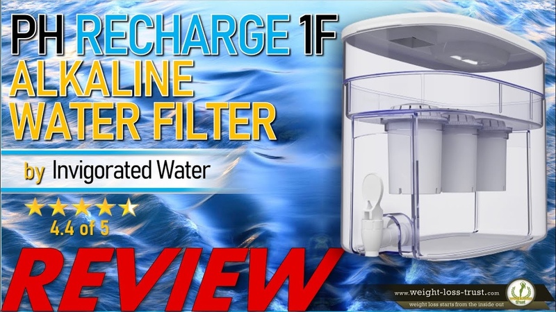 p H Recharge 1 F Alkaline Water Filter by Invigorated Water