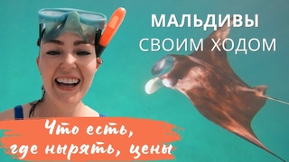 БЮДЖЕТНЫЕ МАЛЬДИВЫ 2023: еда, цены, подводный мир